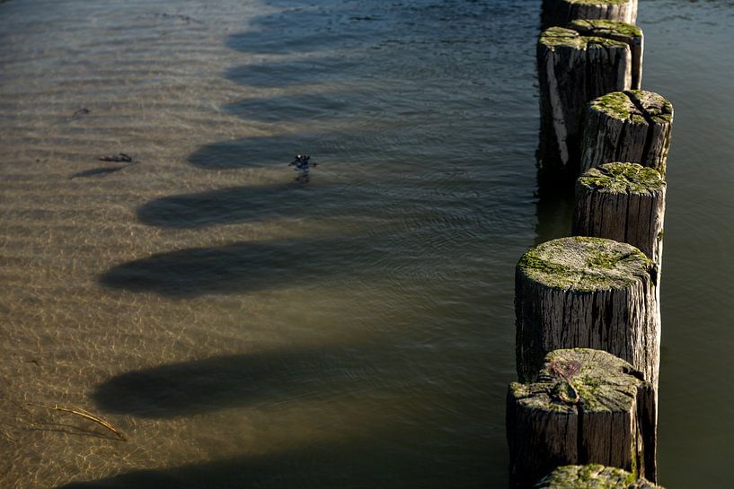 Poteaux de plage dans l'eau 2 par Percy's fotografie