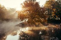 Rivierendriehoek Fürth in de herfst