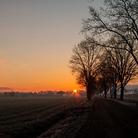 Cold start to the day by Manon Zandt