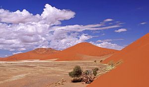 Sossusvlei, Namibië van W. Woyke