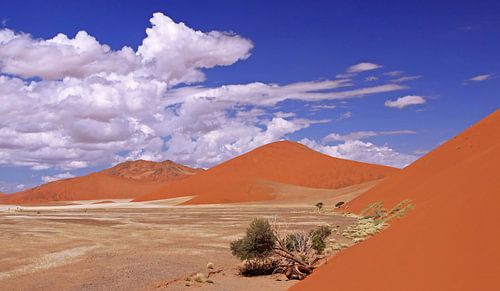 Sossusvlei, Namibia