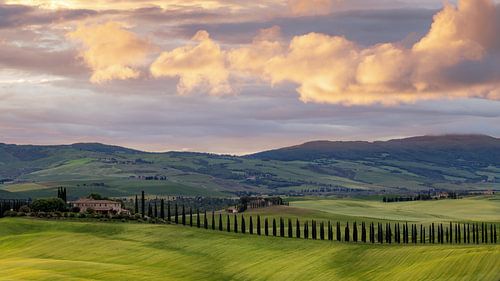 Een ochtend in Val d'Orcia Toscane bij de argiturismo Poggio Covili