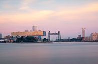 Skyline Rotterdam in de ochtend van Ilya Korzelius thumbnail