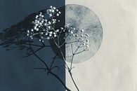Botanical minimalism, wabi-sabi by Carla Van Iersel thumbnail