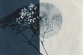 Botanical minimalism, wabi-sabi by Carla Van Iersel