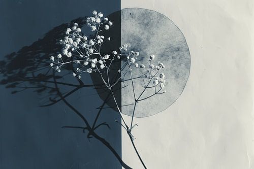 Botanisch minimalisme, wabi-sabi