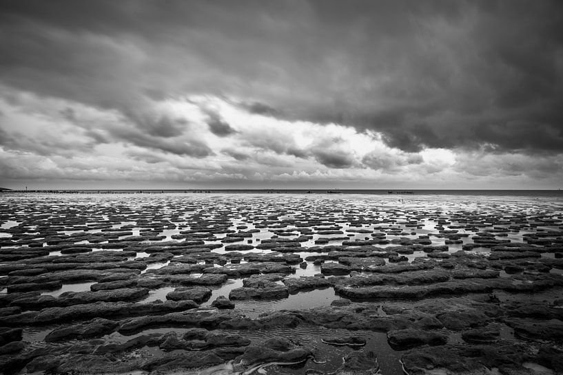 Eb in de Waddenzee bij Moddergat, zwart wit van Patrick Verhoef