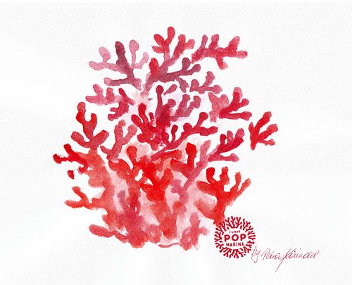 I LOVE POP MARINA - Corallo rosso su bianco