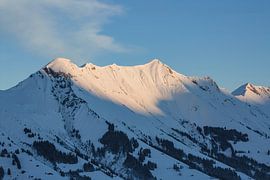 Sonnenaufgang in den Berner Alpen von Martin Steiner