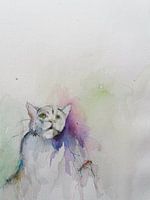 Catpower