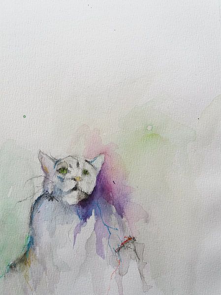 Katzenkraft von Wim Riksen
