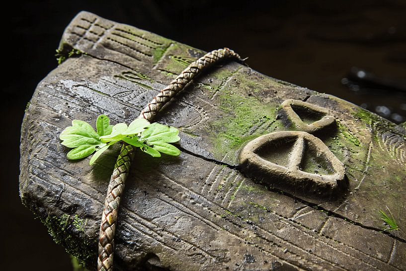 Plant grows from hollow tree trunk by Art & Soul Creations