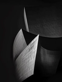 Los Angeles Light by The White Rabbit