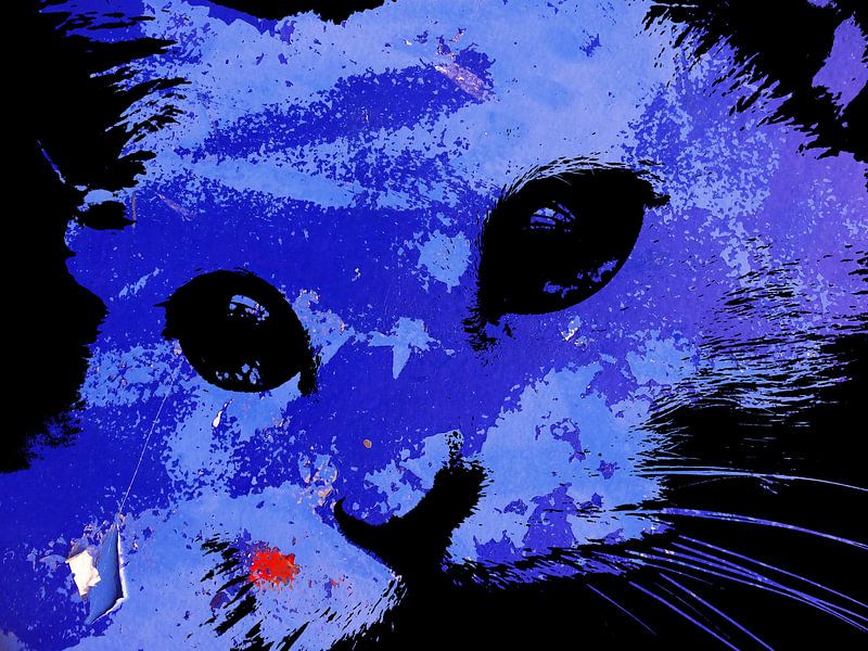 Kattenkunst - Indy 3 van MoArt (Maurice Heuts)