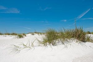 Dünen, Strand, Meer und blauer Himmel