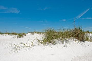Dunes, beach, sea and a blue sky by Color Square