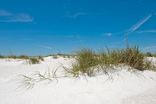 Dünen, Strand, Meer und blauer Himmel
