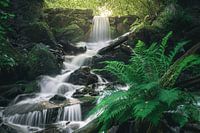 Chute d'eau