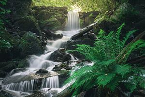 Waterval van Markus Schulz