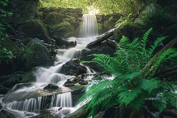 Wasserfall von Markus Schulz