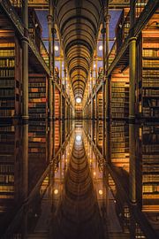 Bibliothèque de l'Université de Copenhague sur Leon Okkenburg