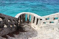 Overlooking the sea, viewpoint on Bonaire. by Silvia Weenink thumbnail