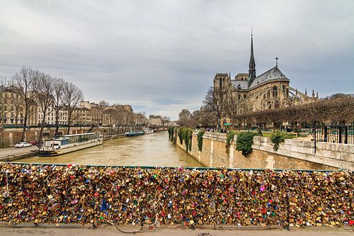 Notre-Dame with locks at the Pont de l'Archevêché by Dennis van de Water