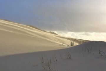 Vue des dunes Egmond aan Zee sur Ronald Smits