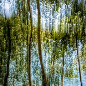 BERLIN SCHLACHTENSEE ICM - the veiling II von Bernd Hoyen