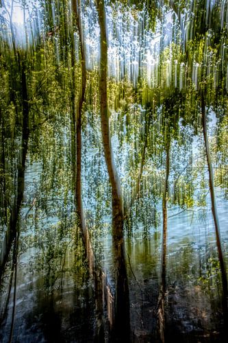 BERLIN SCHLACHTENSEE ICM - the veiling II von Bernd Hoyen