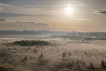 Mist en zonsopkomst over de vlakte van AdJ Fotografie
