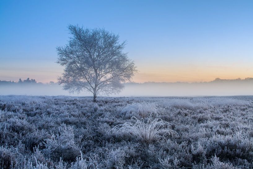 Winter van Mario Visser