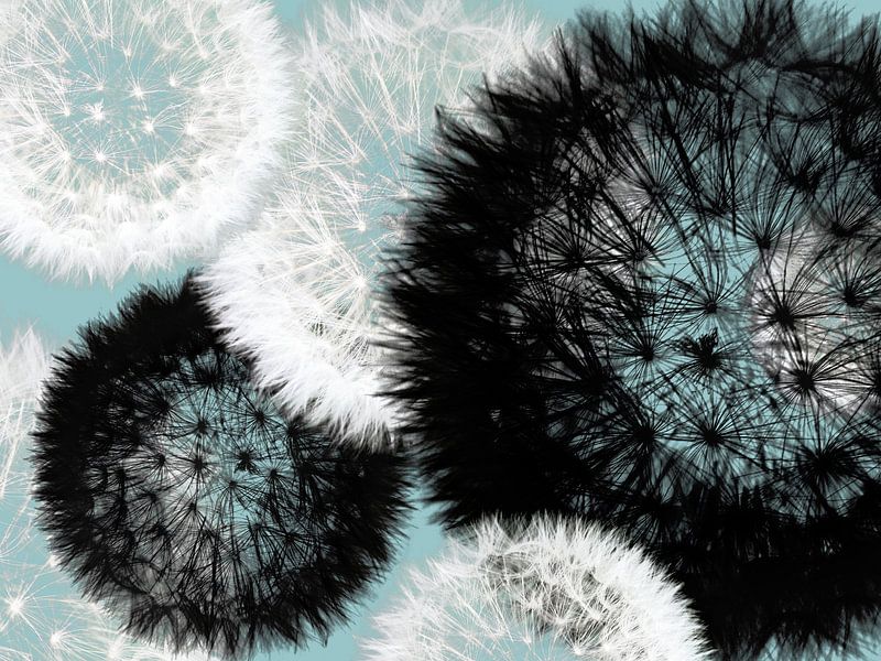 planetarium van fantasina