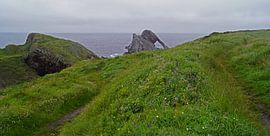 Bow Fiddle Rock Felsbogen in Schottland