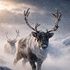 Rennes dans une tempête de neige – photo saisissante de la faune arctique, avec l'agitation et l'ambiance hivernales sur Design Wall Arts