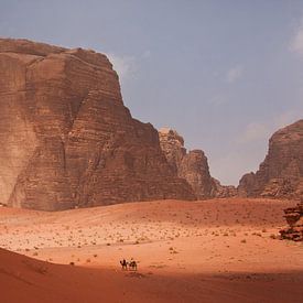 Chameaux dans le Wadi Rum sur Jos Hug