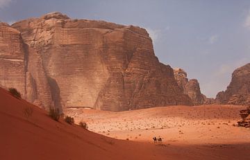 Kamelen in Wadi Rum van Jos Hug