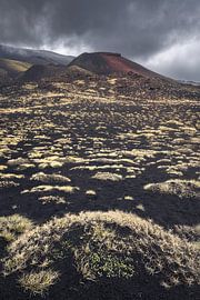 Paysage volcanique de l'Etna, où se dessine le contraste entre la verdure et sur PhotoCluster