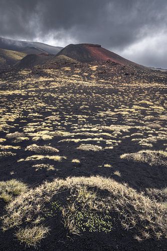 Paysage volcanique de l'Etna, où se dessine le contraste entre la verdure et