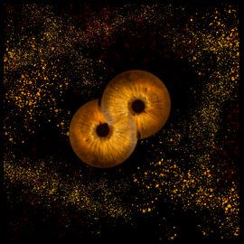 Double Iris by Anneke Hooijer