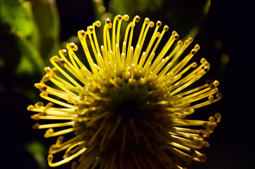 Light expression by Dick Mostaard