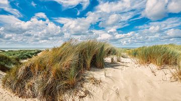 Een zomers beeld van het duin het strand en de Noordzee van eric van der eijk