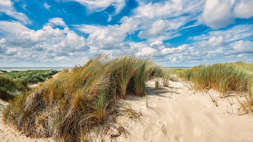 Ein sommerliches Bild von der Düne, dem Strand und der Nordsee
