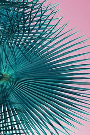 Blue green palm leaf and pink sky, beach season by Adriana Mueller