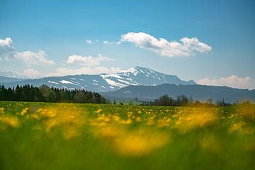 Lentekriebels in de Allgäu met sneeuw bij de Grünten van Leo Schindzielorz