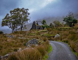Cottage in Ireland by Remko Ongersma