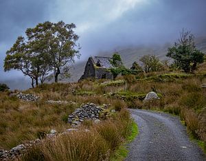Cottage in  Ierland van Remko Ongersma