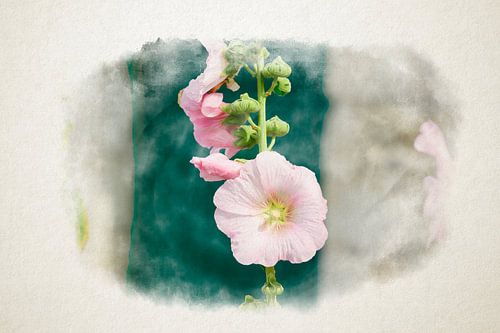 Closeup of a hollyhock in watercolour