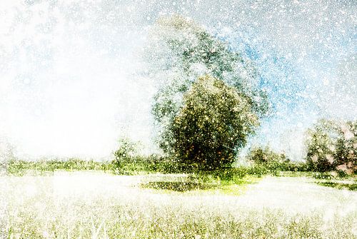 Nederlands landschap Den Bosch, Nederland