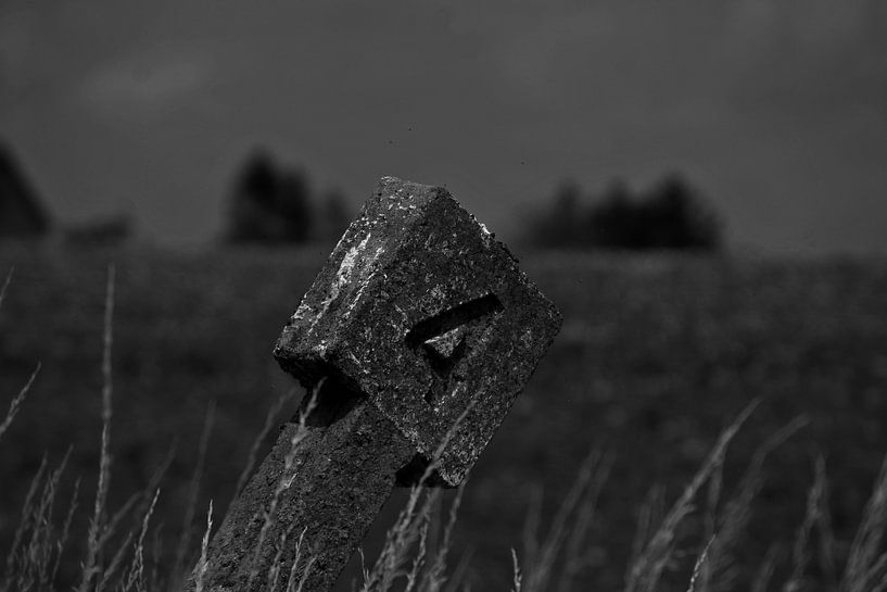 oude glorie by Jean Jacobs